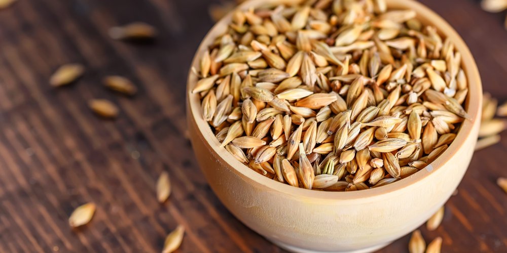 New 'sustainable and innovative' plant-based barley ingredients