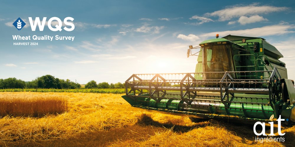 TAKE WHEAT EASY: TRENDS & ADVICE FOR THE HARVEST 2024