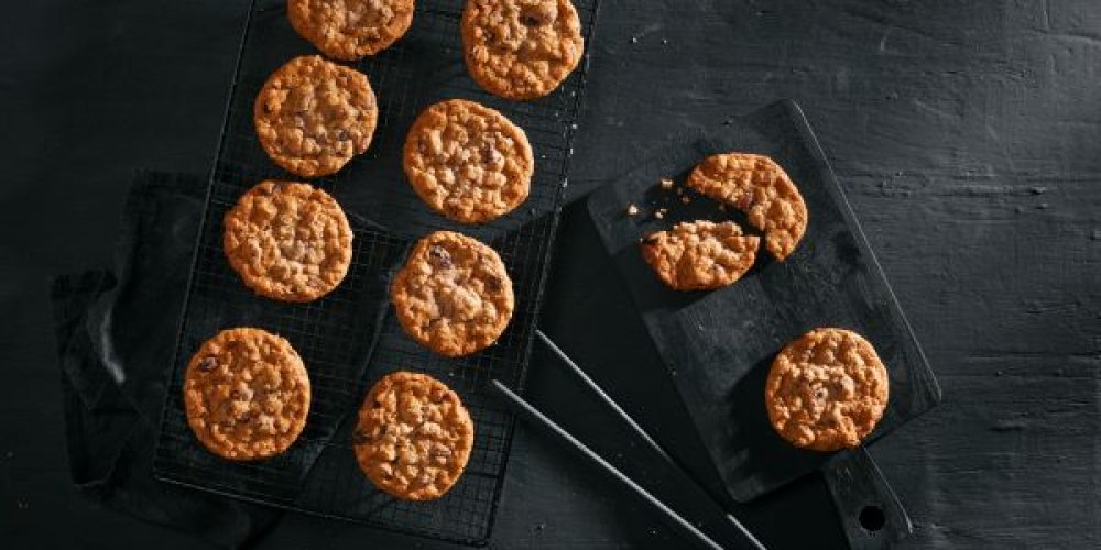 Panesco Keeps Exploring