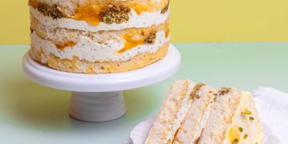 CUTTER & SQUIDGE NEW LAUNCH